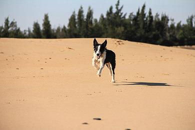 《双人成行》开发者发推晒图 下一款游戏已在开发中